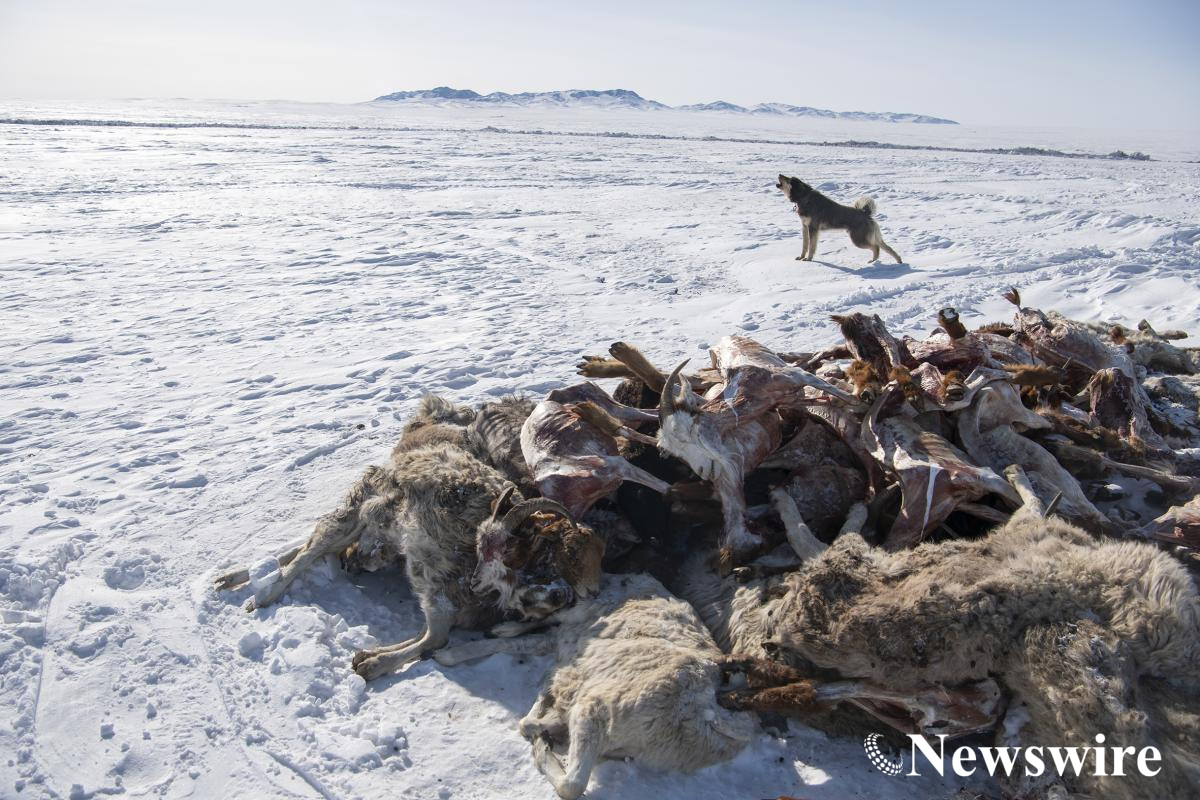 MPA PHOTO2024-0482.jpg