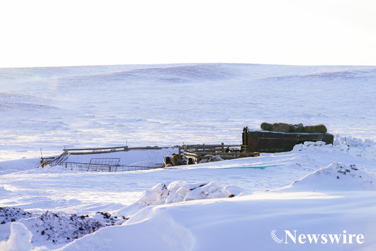 MPA PHOTO2024-04661 (1).jpg