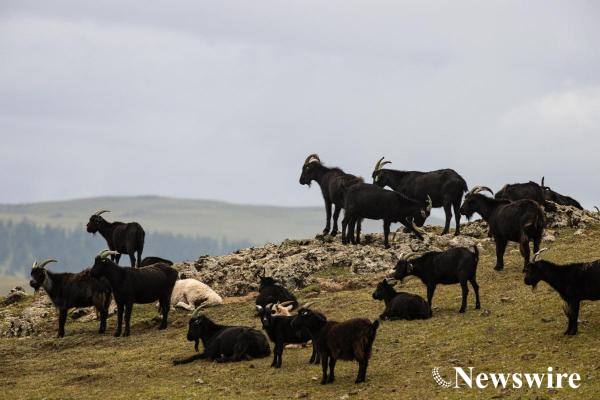 MPA PHOTO2023-19147-mobile.jpg