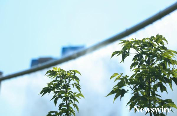 MPA PHOTO 2023-1750-mobile.jpg