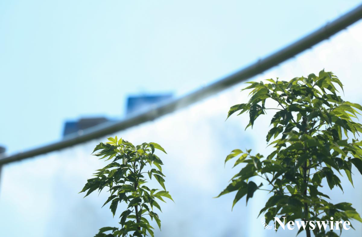 MPA PHOTO 2023-1750.jpg