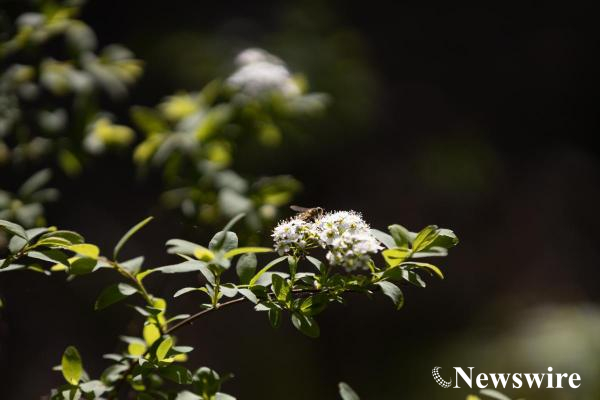 1O8A8316 (1)-mobile.jpg