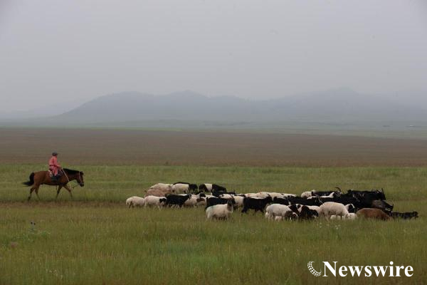 MPA PHOTO 2021-2453-mobile.jpg