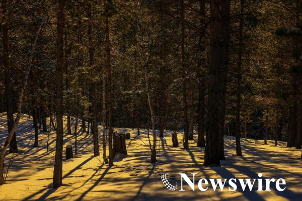 MPA PHOTO 2025-48245-mobile.jpg