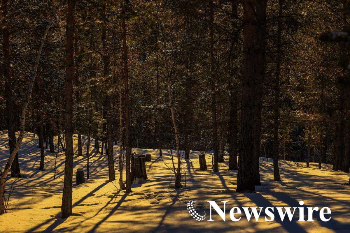 MPA PHOTO 2025-48245.jpg