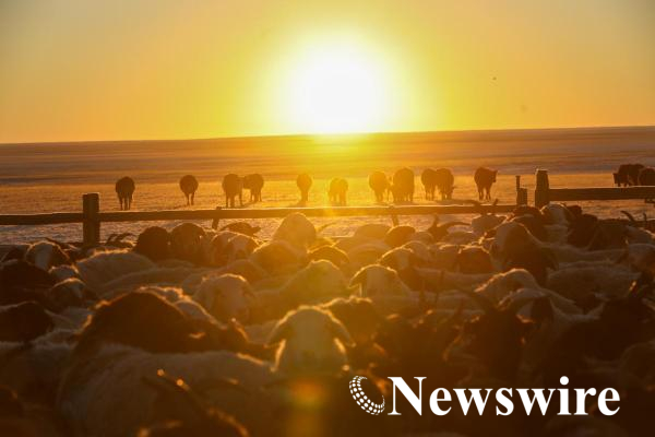 MPA PHOTO 2025-8061-mobile.jpg