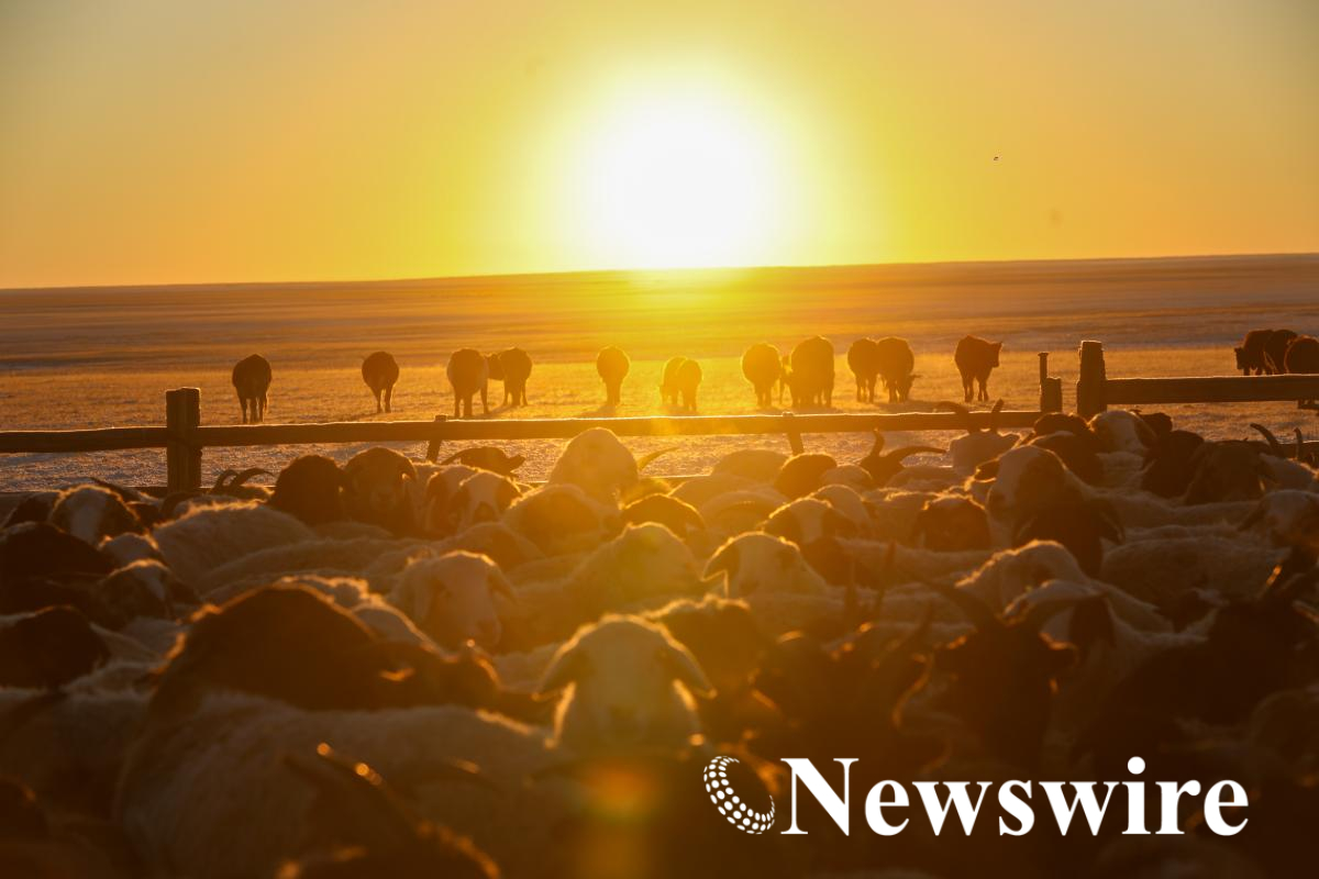 MPA PHOTO 2025-8061.jpg