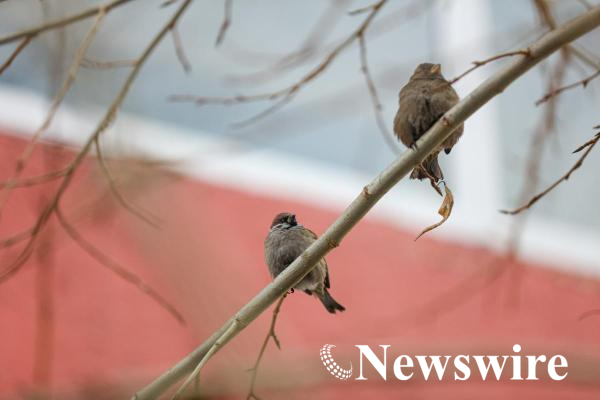 MPA PHOTO2026 (12 of 54)-mobile.jpg