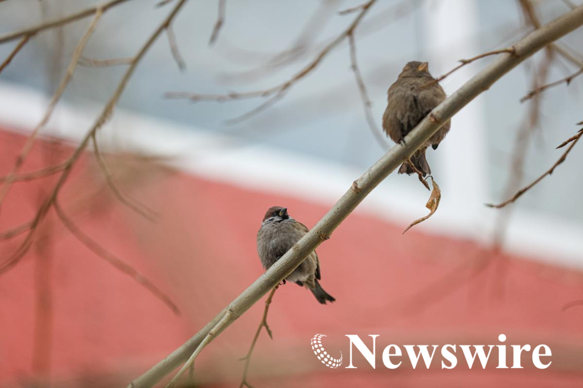 MPA PHOTO2026 (12 of 54).jpg