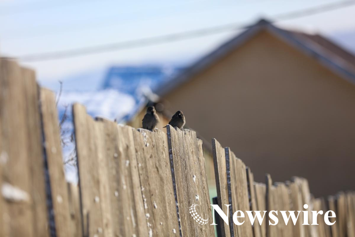 MPA PHOTO2026 (55 of 94) (1).jpg