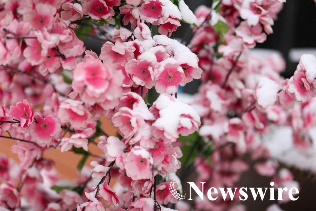 MPA PHOTO 2025-0229.jpg