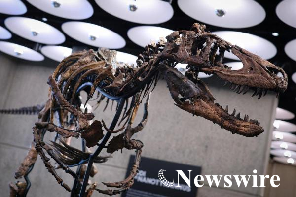 2026-10-13T140121Z_1670640100_RC2C2OAOZMOM_RTRMADP_3_USA-AUCTION-DINOSAUR.JPG