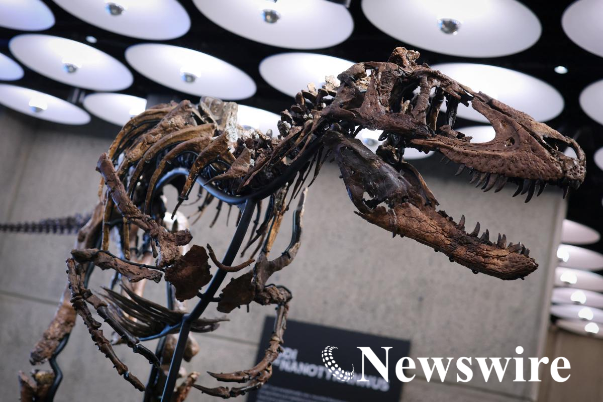 2026-10-13T140121Z_1670640100_RC2C2OAOZMOM_RTRMADP_3_USA-AUCTION-DINOSAUR.JPG